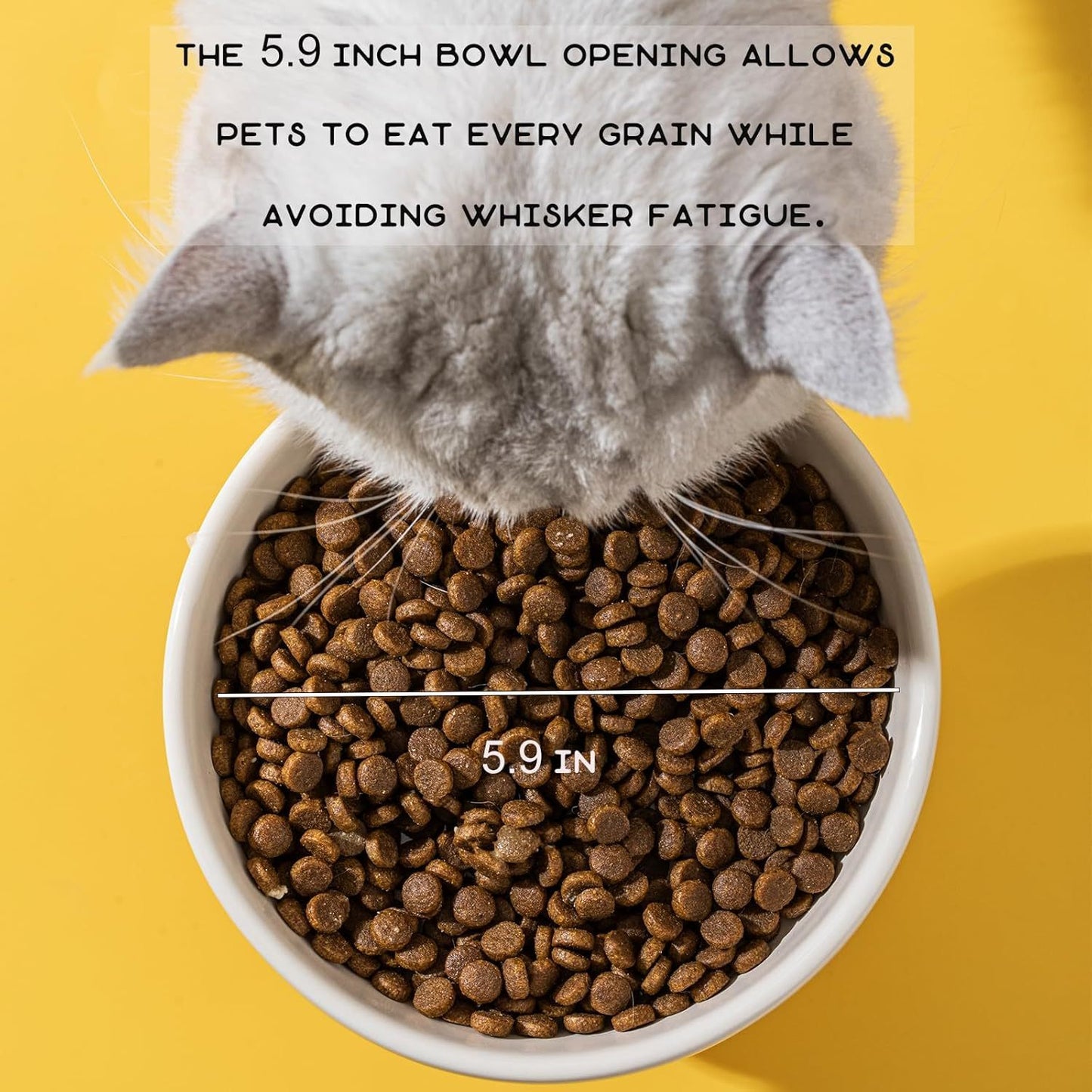 Raised Cat Bowls Cat Food Bowls Elevated Animal Theme Cute Ceramic Cat Bowl For Indoor Cats Pet Slow Feeder Water Bowl Whisker Friendly Prevents Dark Chins Easy To Clean